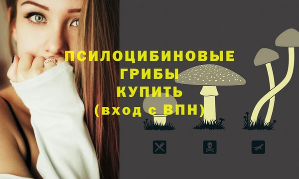 MDMA Premium VHQ Бородино